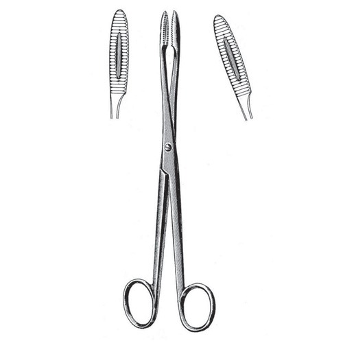 Gross Maier Cotton Swab Forceps, Screw Joint, Str, 16cm