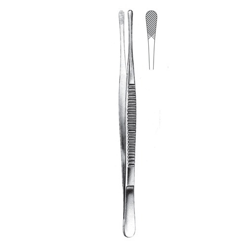 Wangensteen Dressing Forceps, 23cm