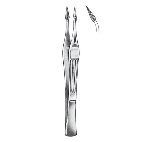 Walter-Carmalt Splinter Forceps, Cvd, 10.5cm