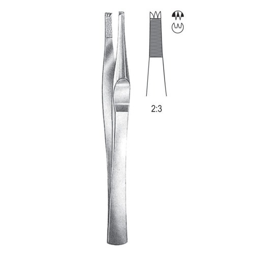 Lanes Tissue Forceps, 2x3 Teeth, 15cm