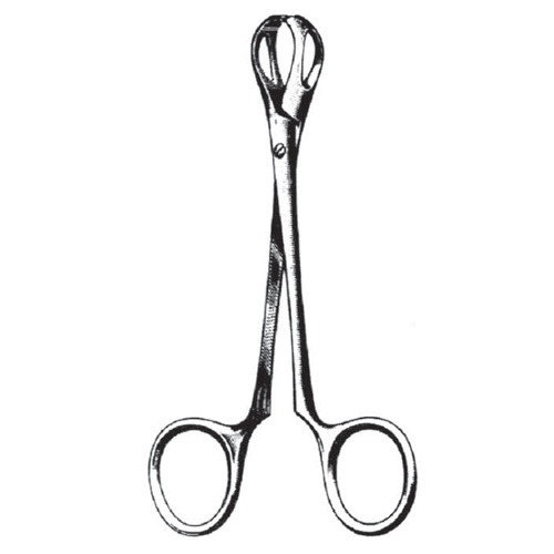 Lane Organ Holding Forceps, Screw Joint, 12.5cm