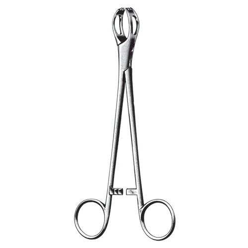 Lane Organ Holding Forceps, Box Joint, 12.5cm