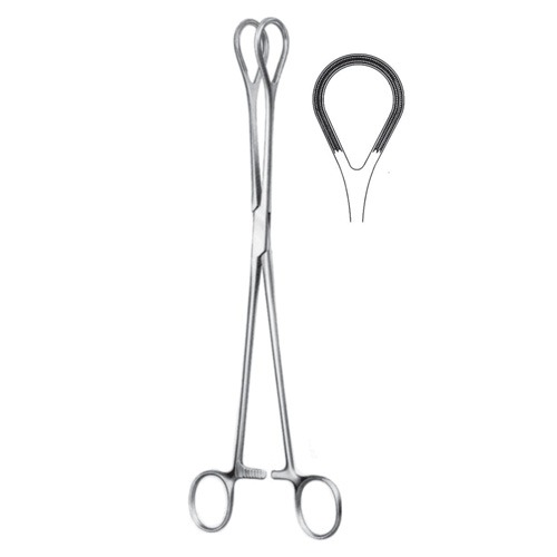 Atrauma Organ Holding Forceps, Box Joint, 26cm