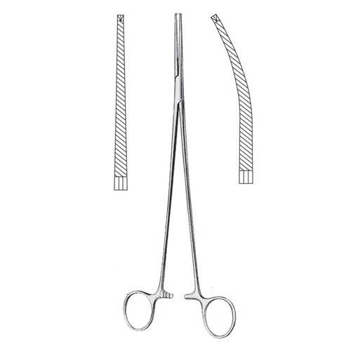 Bangolea Artery Forceps, 1x2 Teeth Str, 26cm