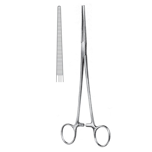 Roberts Artery Forceps, Str, 22cm