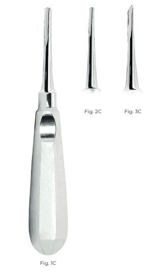 Coupland Root Elevators with stainless steel handle Fig. 2C