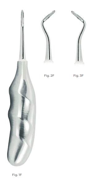 Flohr Root Elevators with Anatomically Shaped Handle in stainless steel Fig. 2F