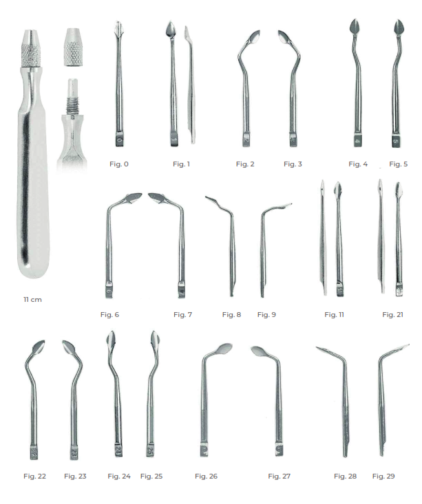 Syndesmotomes Fig. 7