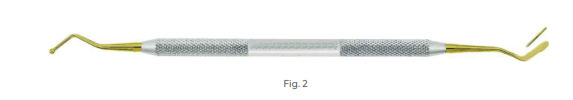 Plastic Filling Instrument with Ti-N lined tips, Fig 2