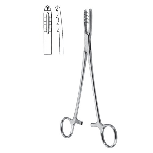 Birsher-Ganske Sequestrum And Cartilage Seizing Forceps, 20cm,