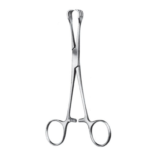 Lahey Goitre Seizing Forceps,15.0cm