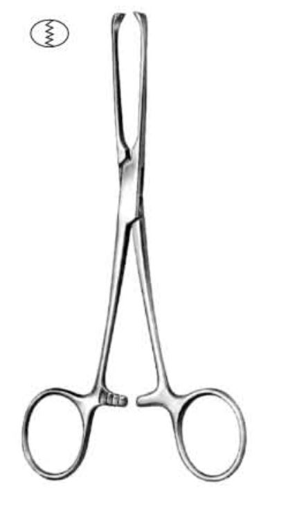 Allis Tissue And Intestinal Forceps, 4x5 Teeth, 25cm