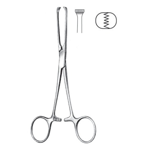 Allis Tissue And Intestinal Forceps, 5x6 Teeth, 22cm