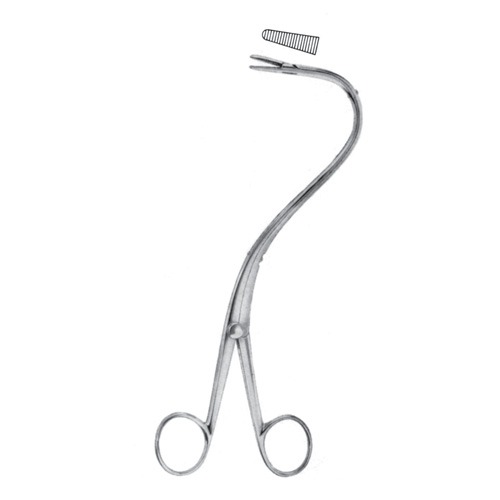 Elsasser Nephrostomy Forceps, 20cm