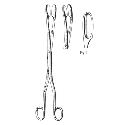 Winter Placenta And Ovum Forceps, Straight,  28cm