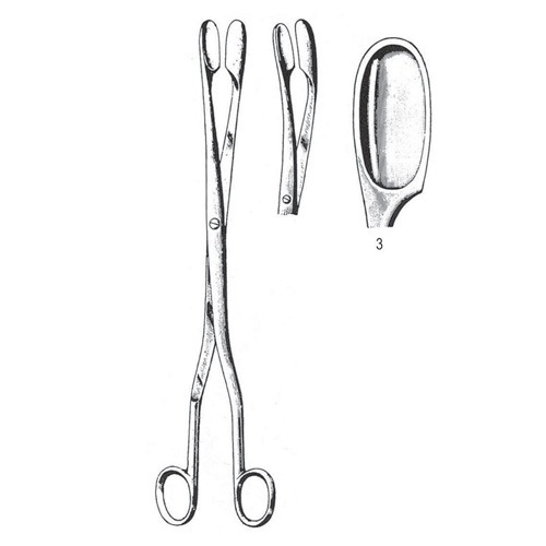 Winter Placenta And Ovum Forceps, Curved,  28cm