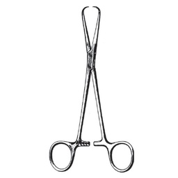 [RG-598-16] Bernhard Towel Clamp Forceps, 16.5cm