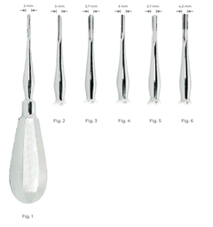 [RDJ-121-42] Bein Root Elevators with stainless steel handle 3 mm Fig. 2