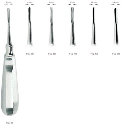 [RDJ-121-55] Bein Root Elevators with stainless steel handle 3.2 mm Fig. 5B