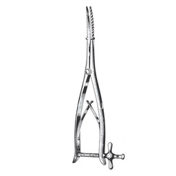 [RAE-318-29] Wylie Uterine Dilators, 29cm (Smooth)